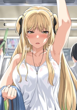 【嗅ぎたい】電車でつり革に捕まる夏女子の二次エロ画像