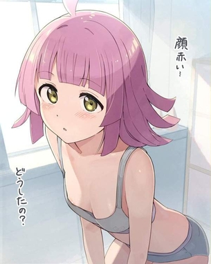 【第二次成長期】思春期少女はどんなブラジャーしてるのかな？って二次エロ画像【発展途上乳】