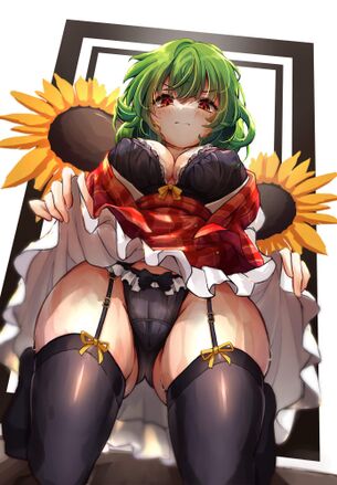 【東方Project】風見幽香 のえち画像✿