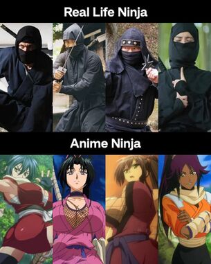 【悲報】日本の「忍者」、アニメになるとエロい格好をさせられてると海外で揶揄されてしまう