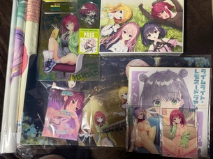 【画像】秋葉でエロゲ買ってきたでｗｗｗ