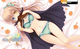【２次】 下着姿の女の子のエロ画像その１９