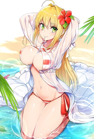 【２次】Fateシリーズのネロ・クラウディウスちゃんのエロ画像その２