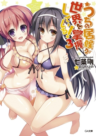 うちの居候が世界を掌握している！ ラノベ表紙画像まとめ