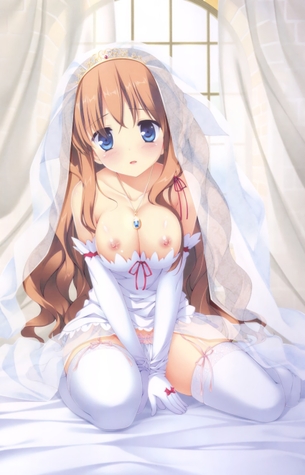 俺の嫁がモニターの中で本当の嫁になった。ウエディングドレスを着た2次女の子画像（エロもちょっとあるよw）