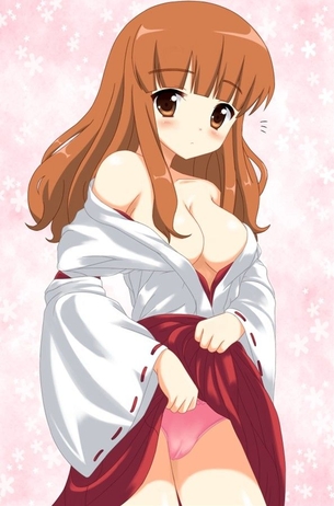 【2次エロ画像】巫女服の半脱ぎはなんかエロい その12【巫女さん】