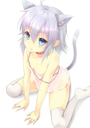 【2次】可愛らしい獣耳っ娘の二次エロ画像 その19【獣耳っ娘】