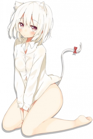 【2次画像】モフモフして可愛らしい獣耳っ娘で癒されたい その6【非エロ】