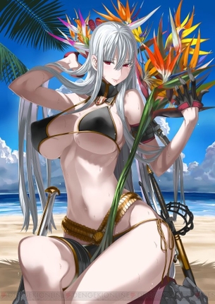 戦場のヴァルキュリアの画像