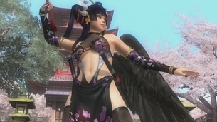 【DOA5LR】NINJAなりきりコス VOl.2を買ってみた
