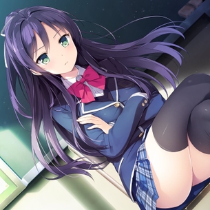 キレイなふとももが強調された、二次元ニーソ美少女画像詰め合わせ。