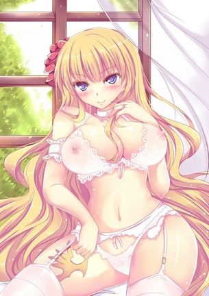 ガーターベルトのエロ画像集めてみた