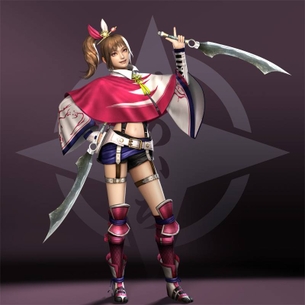 戦国無双シリーズよりくのいちの画像