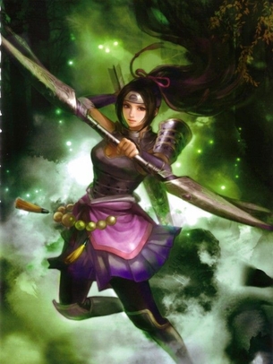 戦国無双シリーズより稲姫の画像