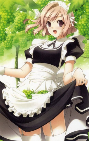 メイドの画像フォルダを公開する！