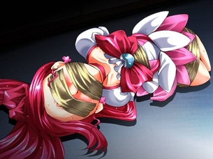 【ハートキャッチプリキュア!】キュアブロッサム・花咲つぼみ(はなさきつぼ・・・
