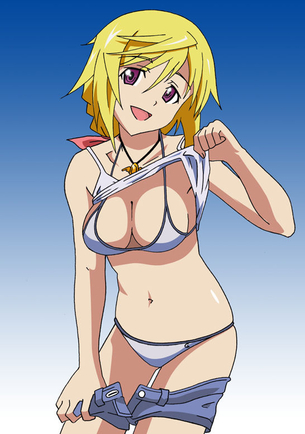 インフィニットストラトスよりシャルロット・デュノアのイラスト 50枚