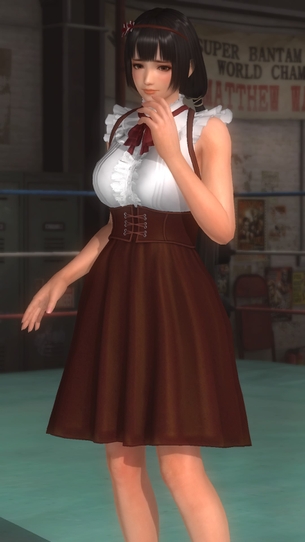 DOA5LR お嬢様の休日コスチュームのパンツコレクション（井伊直虎、紅葉編）