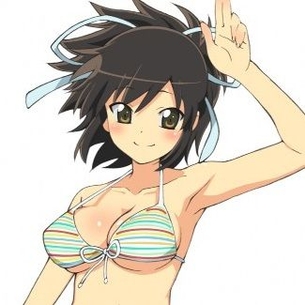 アニメ版閃乱カグラの画像