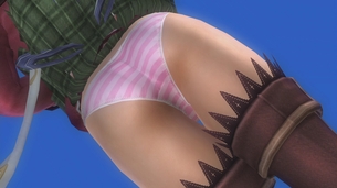 【DOA5LR】ファルコムコラボコスを買ってみた