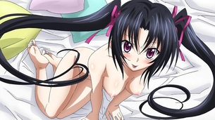 ハイスクールDxD【セラフォルー・レヴィアタン】5枚