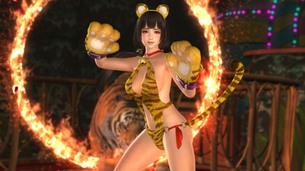 DEAD OR ALIVE 5 の画像