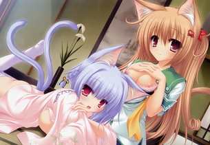 ねこ☆こい！～猫神さまとネコミミのたたり～【18禁エロゲーHCG】壁紙・画像 その2