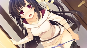 恋騎士 PurelyKiss 【18禁エロゲーCG】壁紙・画像 その1