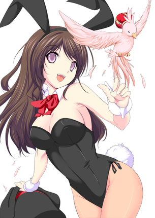 バニーガールの二次画像がヌけすぎてこまる件について