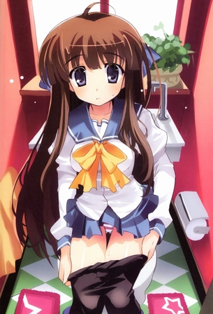 【二次エロ】トイレ使用中な女の子の画像が見たい！ 4