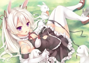 うさ耳が可愛い女の子の二次エロ画像③ 100枚