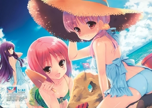 見事な肢体をさらしている水着美少女画像