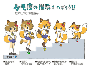 2次元 だんだんケモノ属性が濃くなっていくケモノエロ画像 50枚