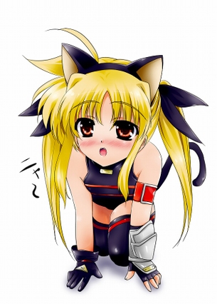 魔法少女リリカルなのはの高町なのはの画像下さい！