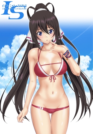 インフィニットストラトスの二次エロ画像を愛でる。