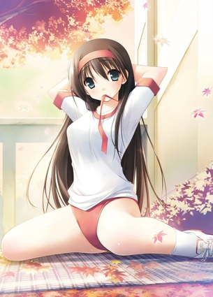 ブルマの二次エロ画像くだしあ。