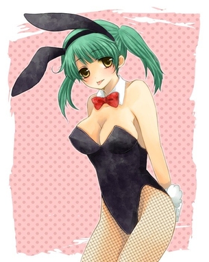 バニーガールのエロ画像をランダムに貼っていくスレ