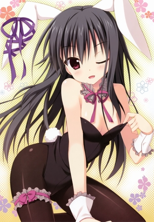 バニーガールの二次エロ画像