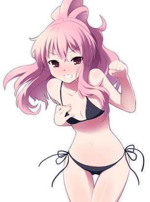 【ゼロの使い魔】ルイズの画像ください