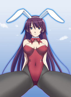 バニーガールのエロ画像集めてみた
