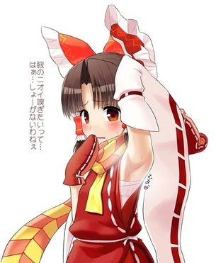 脇フェチのための二次エロ画像③ 25枚