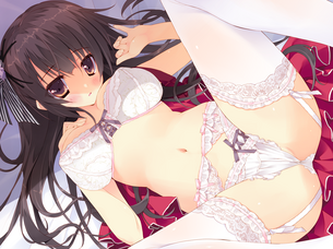 ガーターベルトを付けてる女の子の二次エロ画像 その5 50枚