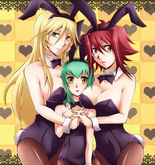 バニーガールの二次エロ画像くだしあ。
