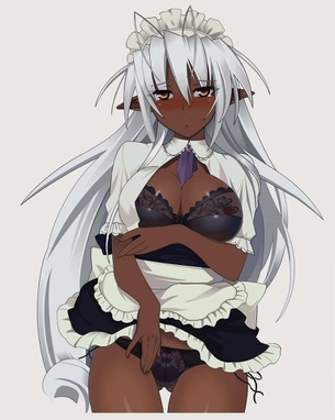メイドの画像倉庫がここです！