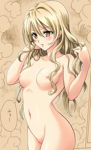 To Loveる【天条院沙姫】17枚