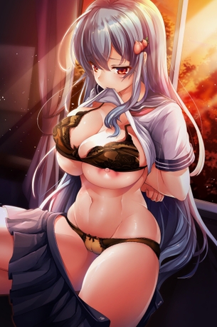 【半脱ぎの】はだけてる二次エロ画像【美学】 その11