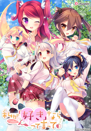 【美少女ゲーム】エロゲー、私が好きなら「好き」って言って！の処女喪失GIF画像【二次】