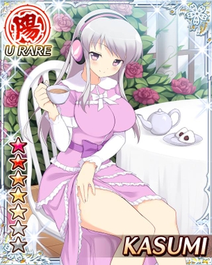 【100枚】閃乱カグラNewWaveの画像 その5