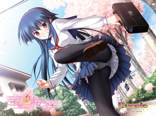春色桜瀬 【18禁エロゲーCG】壁紙・画像