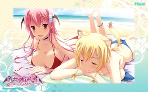 みんな捧げちゃう！【18禁エロゲーHCG】壁紙・画像
